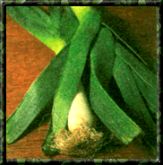 
Leek
